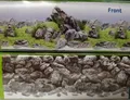 Produktbild: Juwel Fotorückwand Aquascape / Stone L Poster Rückwand 100x50cm Aquarium