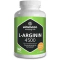 Produktbild: L-Arginin Hochdosiert 4.500 mg Kapseln 360 St