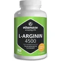 Produktbild: L-Arginin Hochdosiert 4.500 mg Kapseln 360 St