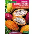 Produktbild: Exotische Früchte Obst und Gemüse der Tropen und Subtropen