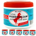 Produktbild: 5 Pferdebalsam Pferdesalbe Salbe Balsam Gel Sportgel 500ml Bio-Vital® 5,50€ / L