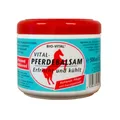 Produktbild: Bio-Vital Pferde-Balsam 500ml Gel Pferde-Salbe Sport-Gel Kühlend Eucalyptus-Öl