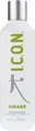 Produktbild: ICON Awake Detoxifying Conditioner 250 ml
