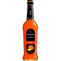 Produktbild: Riemerschmid Bar-Sirup Mango Geschmack 0,7L