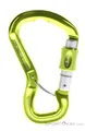Produktbild: Beal Orient Express Schraubkarabiner-Grün-One Size