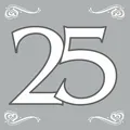 Produktbild: Servietten zur Silberhochzeit 25 Jahre Party Tischdekoration Jubiläum 120776013