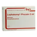 Produktbild: Lophakomp Procain 2 ml Injektionslösung