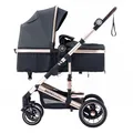 Produktbild: Daliya® NEOMOVE 2in1 Kombi-Kinderwagen | Buggy | klappbare Babywanne und Sportsitz | Große Räder | Rückenlehne stufenlos | Leichter Alu-Rahmen | Großer Einkaufskorb (Gold-Dunkelgrau)