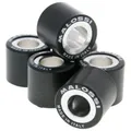 Produktbild: Variorollen Malossi HT Variomatikrollen 19x17mm - 7,4g für Scooter und Maxi-Roll