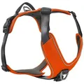 Produktbild: Wolters Hunde-Geschirr Geschirr Active Pro Comfort rot-orange/anthrazit rot Größe: 2 Verstellmöglichkeit: 45 - 52,5 cm