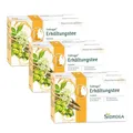 Produktbild: Sidroga Erkältungstee – Pflanzlicher Arzneitee mit Holunderblüten, Weidenrinde & Lindenblüten zur Linderung von Erkältungssymptomen wie Fieber - 3x 20 Filterbeutel à 2,0 g