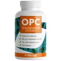 Produktbild: ProFuel OPC Traubenkernextrakt