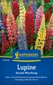 Produktbild: Lupine * Russel - Mischung * MHD 01/29 mehrjährig Kiepenkerl Samen 1015500