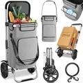 Produktbild: ELONEO Einkaufstrolley klappbar, Einkaufswagen mit Kühlfach, 3in1 Trolley, Sackkarre & Umhängetasche, Einkaufsrollwagen, Shopping Trolley 43L Kap... - Silber