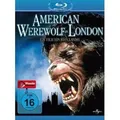 Produktbild: AMERICAN WEREWOLF IN LONDON -  BLU-RAY MIT DAVID NAUGHTON NEUWARE