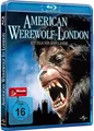 Produktbild: Blu-ray AMERICAN WEREWOLF # v. John Landis, Jenny Agutter ++NEU