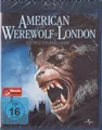 Produktbild: American Werewolf in London - John Landis, Griffin Dunne - Blu-ray Neu