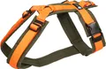 Produktbild: anny-x Hundegeschirr Fun oliv / orange Größe L