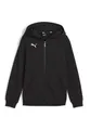Produktbild: Puma Teamgoal Hooded Sweat Full Zip Kinder - Schwarz
