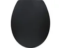 Produktbild: form&style WC-Sitz Black matt mit Absenkautomatik und Quick&Clean