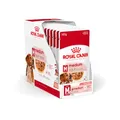 Produktbild: Royal Canin Medium Adult | 10 x 140 g | Alleinfuttermittel für ausgewachsene, mittelgroße Hunde von 11 bis 25 kg | Von 12 Monaten bis 10 Jahre | Mit ausgewählten Zutaten