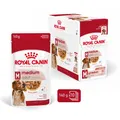 Produktbild: 10x140 g ROYAL CANIN Medium Adult Nassfutter in Soße adulte mittelgroße Hunde