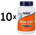 Produktbild: 10 x NOW Foods DHA-250, 250 DHA / 100 EPA - 120 softgels (108,32 EUR/kg)