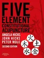 Produktbild: John Hicks Peter Mole Angel Five Element Constitutional Acup (Gebundene Ausgabe)