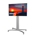 Produktbild: celexon TV/Display-Roll-Ständer Expert Adjust-4286MS Silber | für 42-86