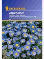 Produktbild: Aster alpinus Alpenaster hellblau