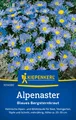 Produktbild: Kiepenkerl Alpenastersamen Blaues Bergsternkraut - heimische Alpen- u Wildstaude