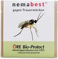 Produktbild: nemabest® SF Nematoden 1 Mio. (10 Pflanzen/2m²) gegen Trauermücken