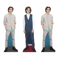 Produktbild: Timothee Chalamet Regal Top Pappfiguren Packung 3 Mini Standees 31cm Hoch