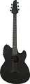 Produktbild: IBANEZ TCY621-BOT