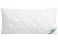 Produktbild: Kopfkissen BECO 