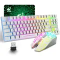 Produktbild: Kabellose Gaming-Tastatur und Maus, 87 Tasten, Regenbogen-LED-Hintergrundbeleuchtung, wiederaufladbar, 3800 mAh Akku, mechanisches Gefühl, Anti-Ghosting, ergonomisch, wasserdicht, RGB-Maus ((Weiß)