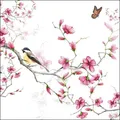 Produktbild: 20 Servietten Bird and Blossom white Vogel Blüten pink Frühling Sommer 33x33cm