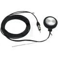 Produktbild: Blaupunkt FunLine Scheibenantenne AM, FM, 13,5 V, Kabellänge 2905 mm