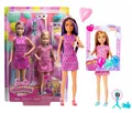 Produktbild: BARBIE CELEBRATION FUN DOLL set of two Skipper and Stacey dolls + acc HKB12