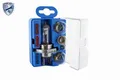 Produktbild: VEMO Sortiment, Glühlampen EXPERT KITS + V99-84-0020