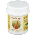 Produktbild: Cordyceps sinensis