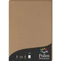 Produktbild: Pollen 10x Papier A4 Pollen 120g 50 Blatt - Kartonbraun 29135C
