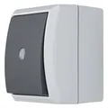 Produktbild: REV AquaForm, Kontrollschalter Feuchtraum IP44, einpolig, Aufputz, grau