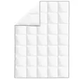 Produktbild: vidaXL Daunenbettdecke, Winter-Daunendecke 155x220 cm