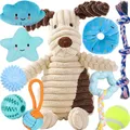 Produktbild: 10 Stück Welpen Spielzeug Set - Plüsch Hundespielzeug mit Quietscher