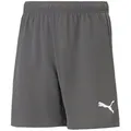 Produktbild: PUMA Trainingsshorts Puma Kinder Shorts teamRISE Short Jr 704943 grau 140