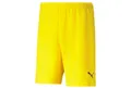 Produktbild: PUMA Trainingsshorts Puma Herren Shorts teamRISE Short 704942