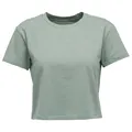 Produktbild: Black Diamond - Women's BD Stripe Crop S/S Tee - T-Shirt Gr L grau