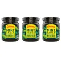 Produktbild: Colman's Classic Mint Sauce | Gewürzsoße aus Minze zum Würzen von Lamm, Salatdressings, Guacamole | (3 Stück (3 x 165g))
