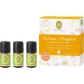 Produktbild: PRIMAVERA Aromatherapie Aetherische-OeleDuftendes Zitrusglück Grapefruit bio 5 ml + Orange bio 5 ml + Zitrone bio 5 ml 1 Stk. (18,50 € / 1 Stk.)